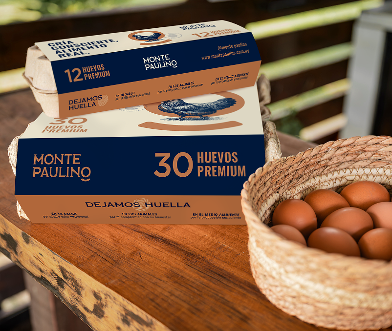 Monte Paulino
